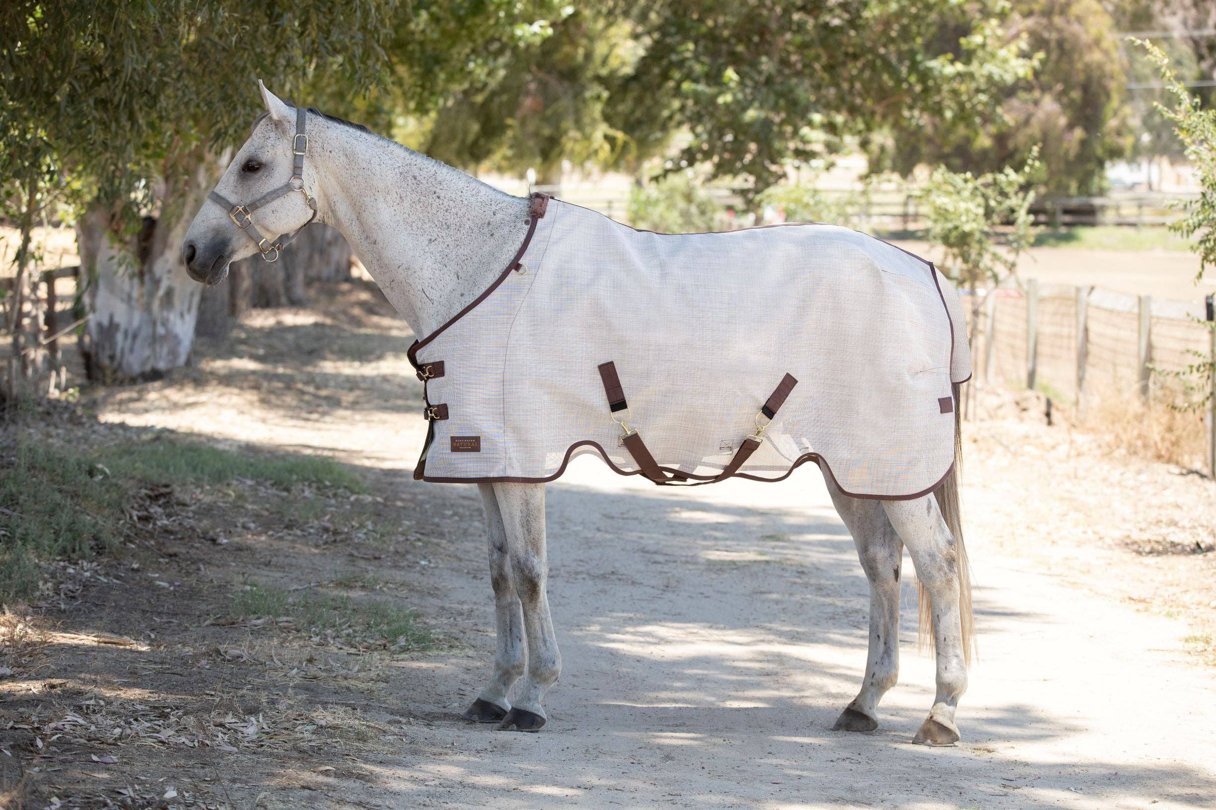 Kensington - Wholesale Horseback Riding Gear - 73% UV Horse Protective Fly Sheet SureFit® Designed for an ideal Fit7