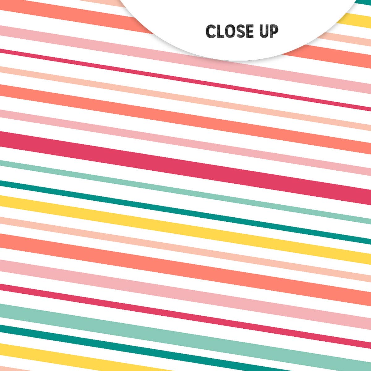 Pretty Little Studio - Vendita all'ingrosso Scrapbooking - L'amore è gentile (Migliori Amici) Carta SS 12x12 (25 pz)1