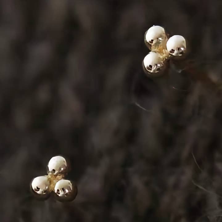 925 zilveren minimalistische drievoudige stip oorstekers – verguld voor wholesale door GenYLuxe