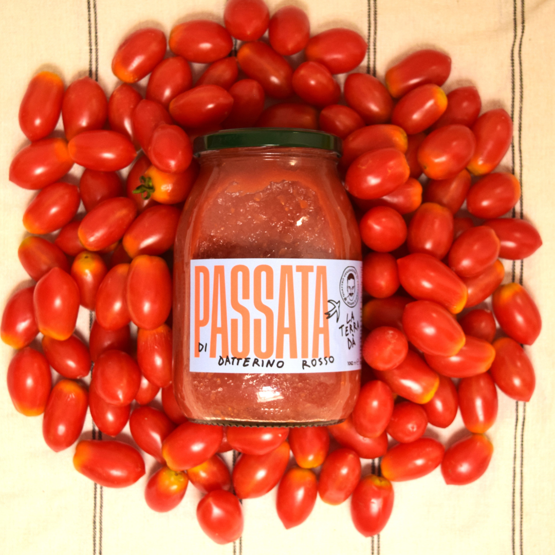 LA TERRA DÀ - Wholesale Salsa - RED DATTERINO TOMATO PUREE3