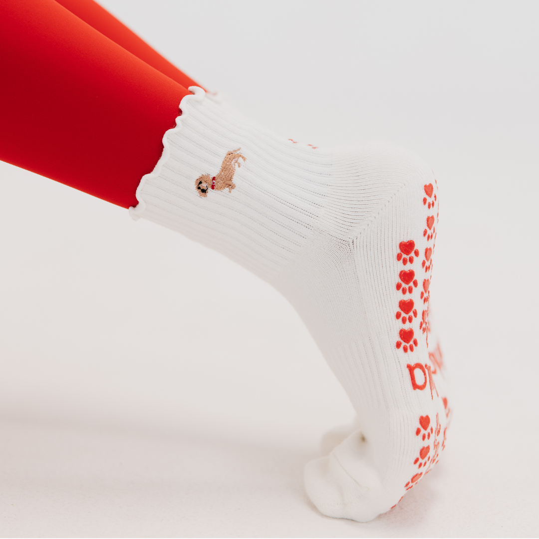 Almla Active - Wholesale Socks - Women's - Dachshund Pilates Grip Socks - Doxie2