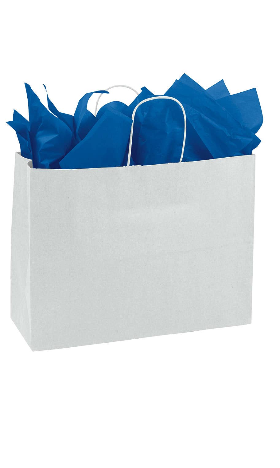 Store Supply Warehouse - Wholesale Gift Bag - Kraft Paper Shopping Bags3
