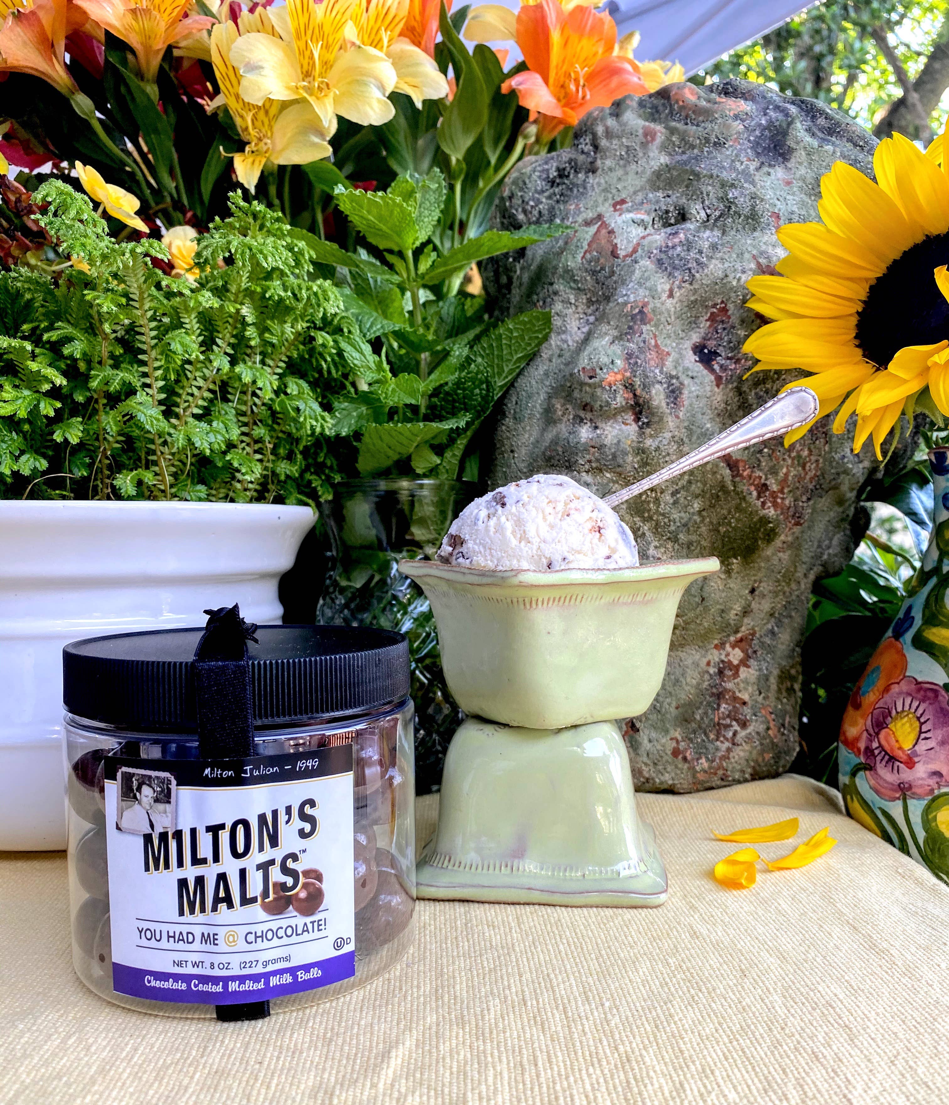 Bruce Julian Heritage Foods - Wholesale Chocolate Covered Sweets - Milton's Malts - 8-oz Jar4