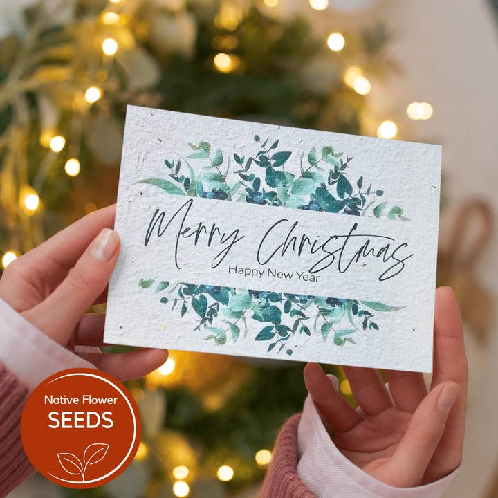 Plantable Christmas Eucalypt Bouquet Card - bottlebrush seed for wholesale by Native Seed Box