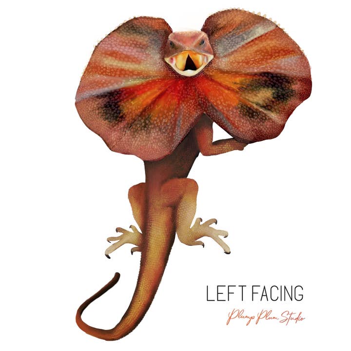 Plump Plum Studio - Wholesale Sticker - Frill-neck Lizard decal, Australian reptile sticker, lizard