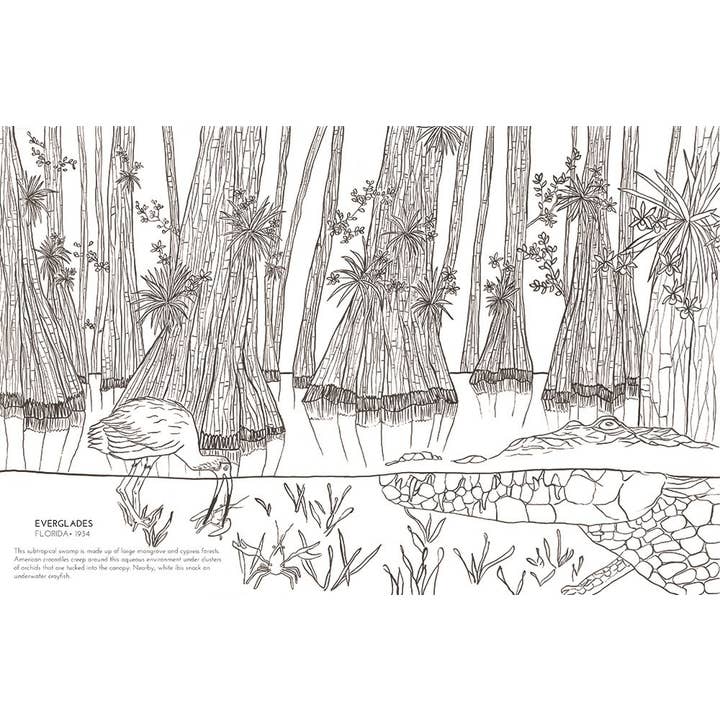 Microcosm Publishing & Distribution - Wholesale Coloring & Activity Book - Adult - National Parks Coloring Book2