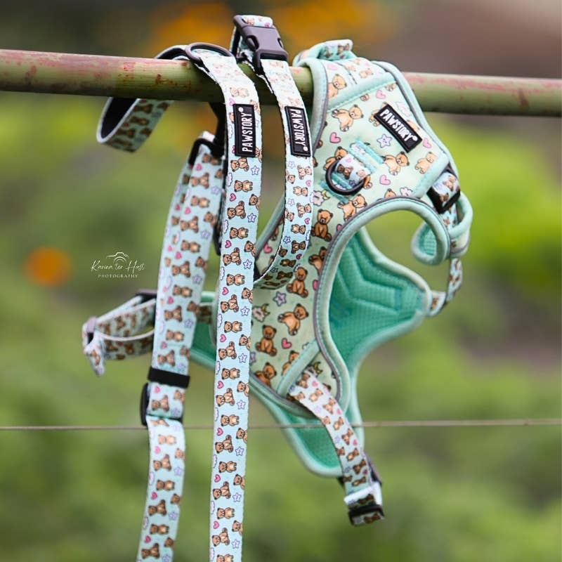 PawStory – Arnês – Cão por atacado – Peitoral Trail Buddy - Bear Hugs6