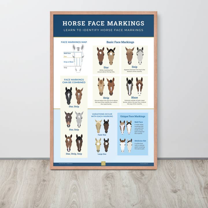 The Pony Island - Wholesale Poster - Horse Face Markings Framed Poster