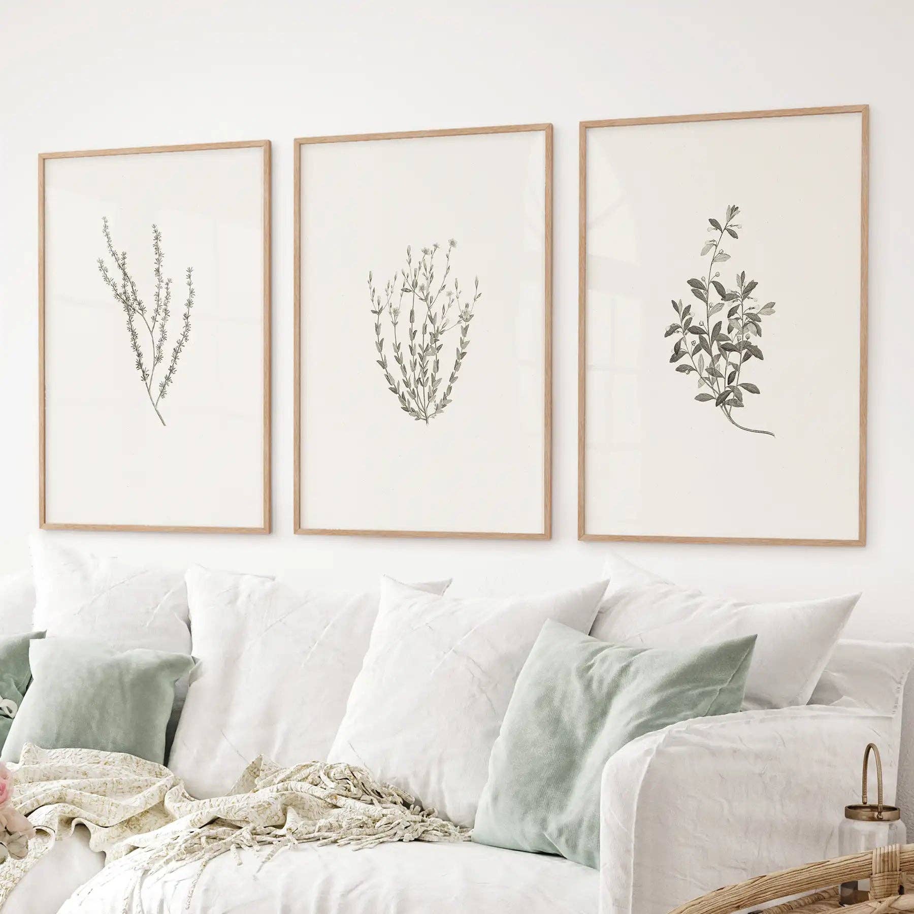 PrintSets.com - Wholesale Gallery Wall Set - Vintage Botanical 3 Piece Wall Decor. Rustic Dried Flower Prints3