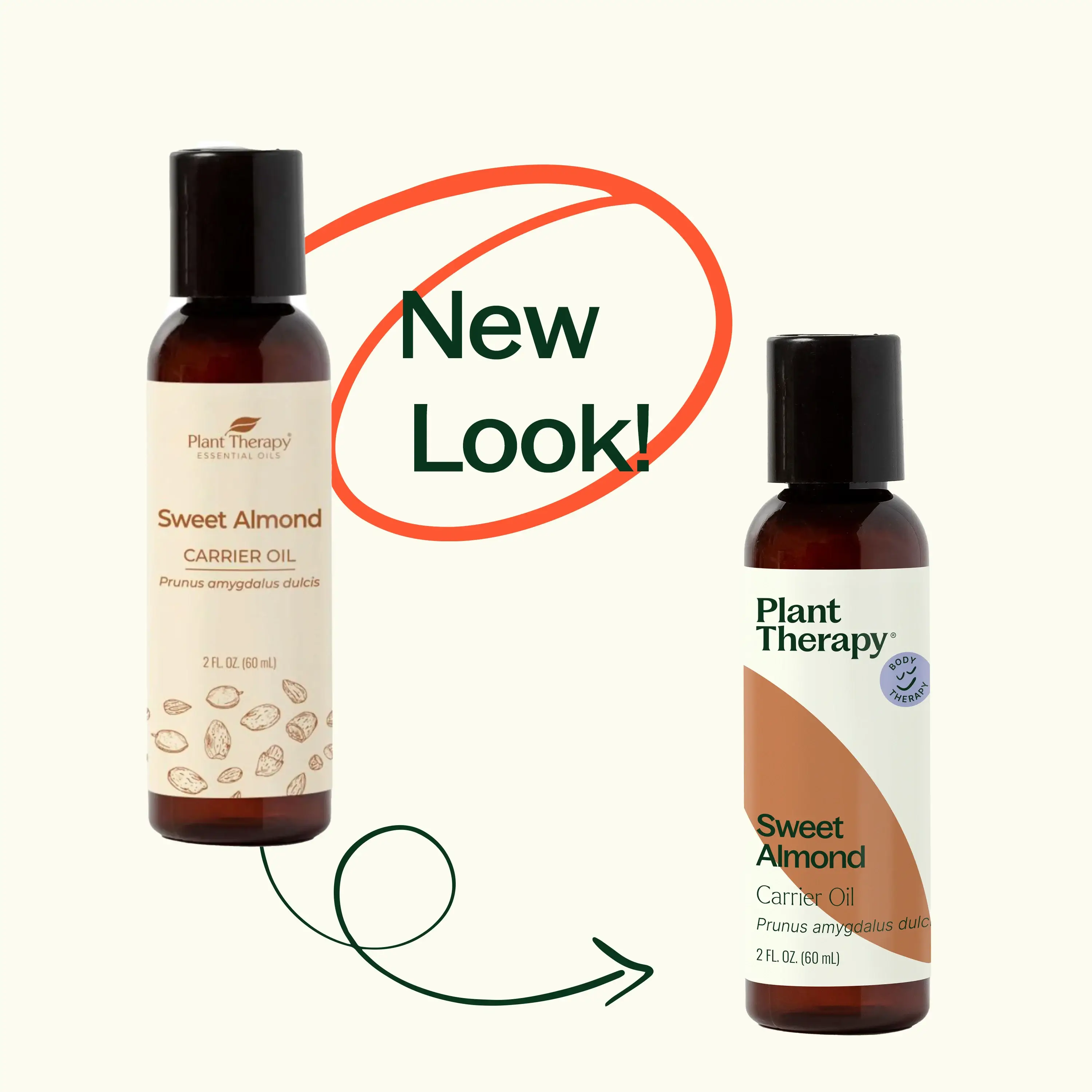 Plant Therapy – Óleo de massagem por atacado – Óleo Transportador de Amêndoas Doces 4 oz1