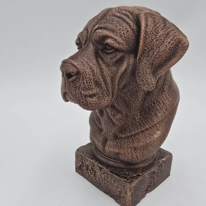 Byst av Cane Corso med långa öron — hundstaty, hemdekoration och handmålad prydnad för hundälskare för wholesale av 3DijkstraFinds
