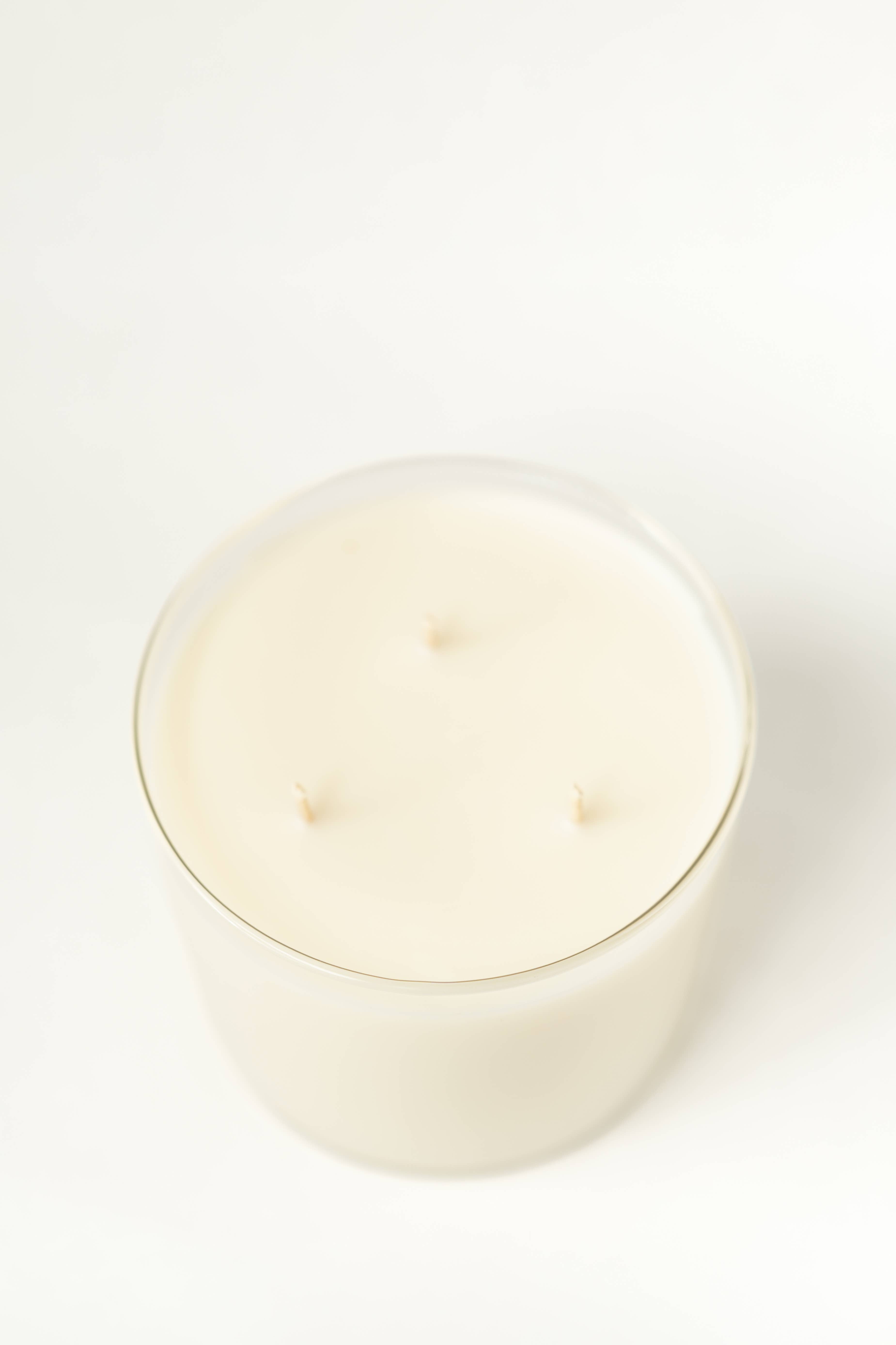 Wash and Wik - Wholesale Jar/Filled Candle - Santal Soy Wax Candle | Amber | Musk | Cedar - 3 Wick2