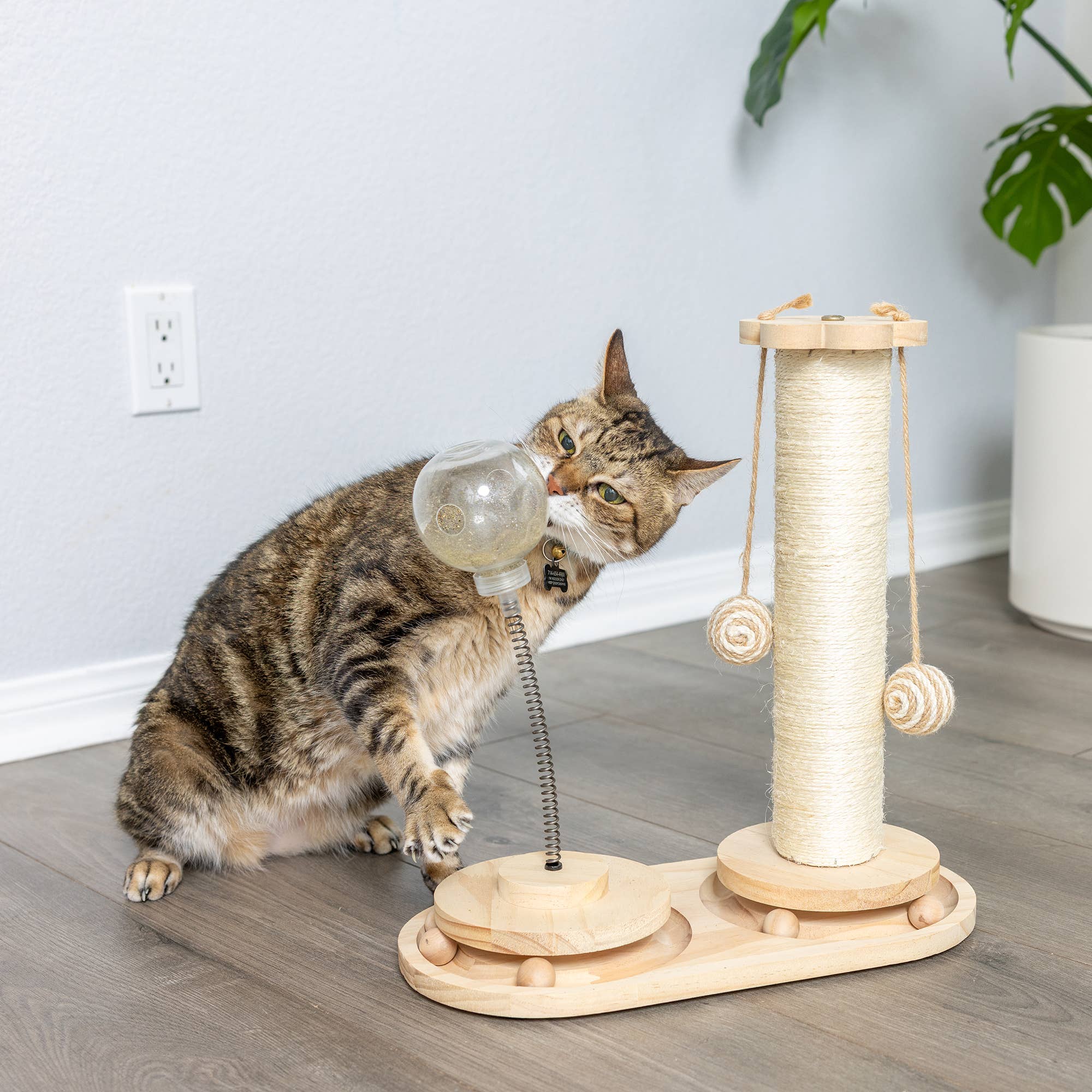 Armarkat - Wholesale Pet Scratcher - Cat - Interactive Scratch Post and Activity Center -- The Ultimate5