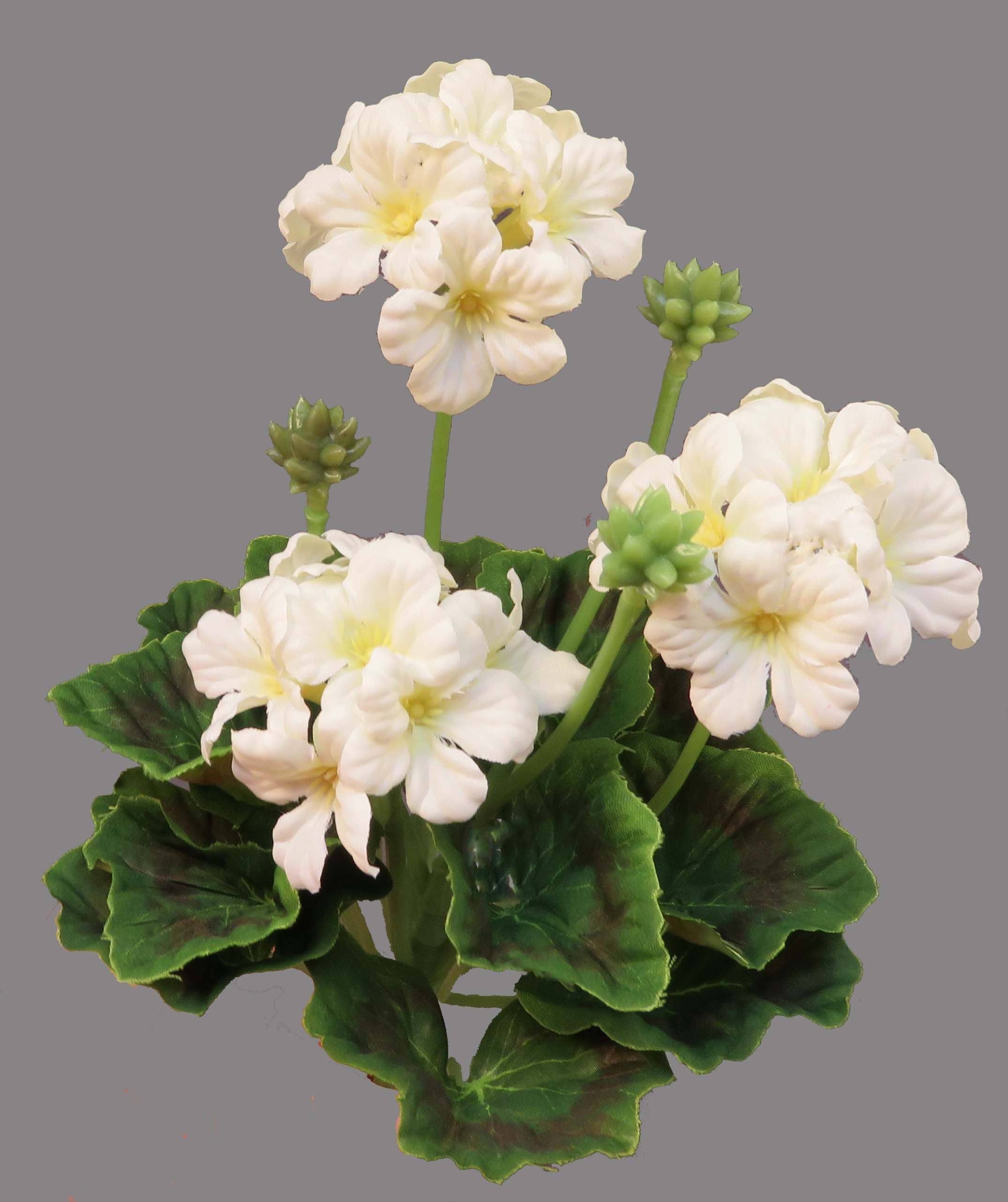 Lucknow Southern and Company – wholesale Konstgjorda blommor – 10" Geranium Pick Grädde eller Rosa0