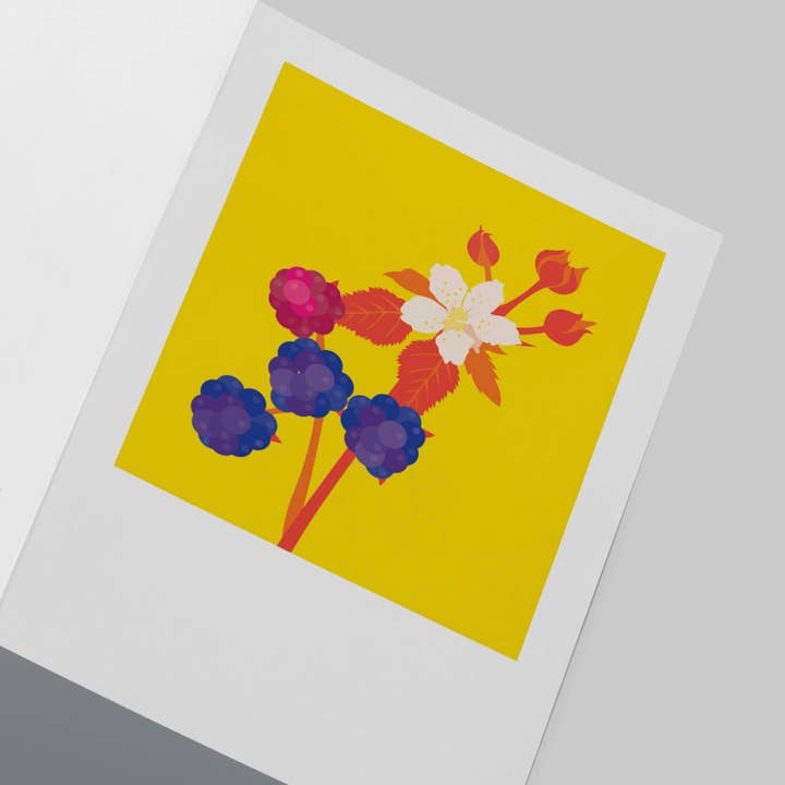 Pawpear - Wholesale Everyday Greeting Card - Blackberries Greeting Card1