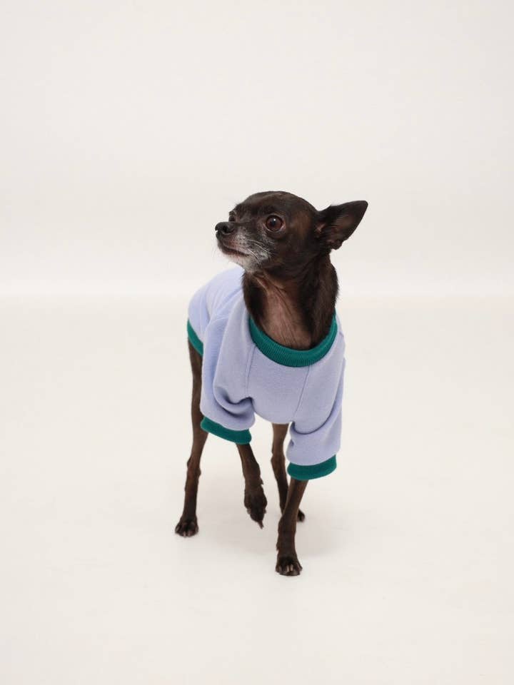 Lavender Contrast Raglan for wholesale by Pooch Couture Apparel