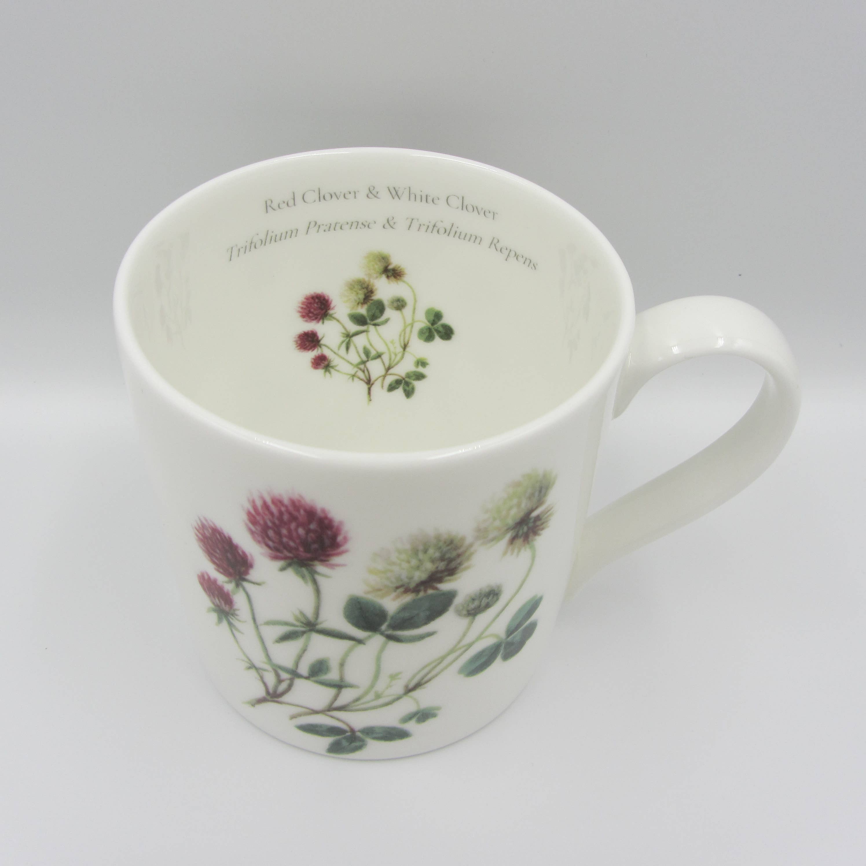 Sophia Davenport - Wholesale Coffee Mug - Wildflower Fine Bone China Mugs Large 375ml1