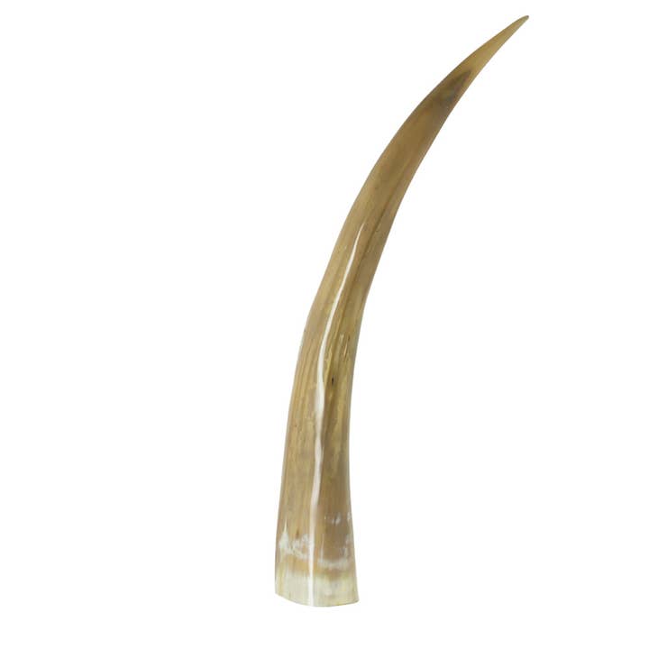 Horn 55 cm für den Großhandel von Mars & More - Brand of B Living