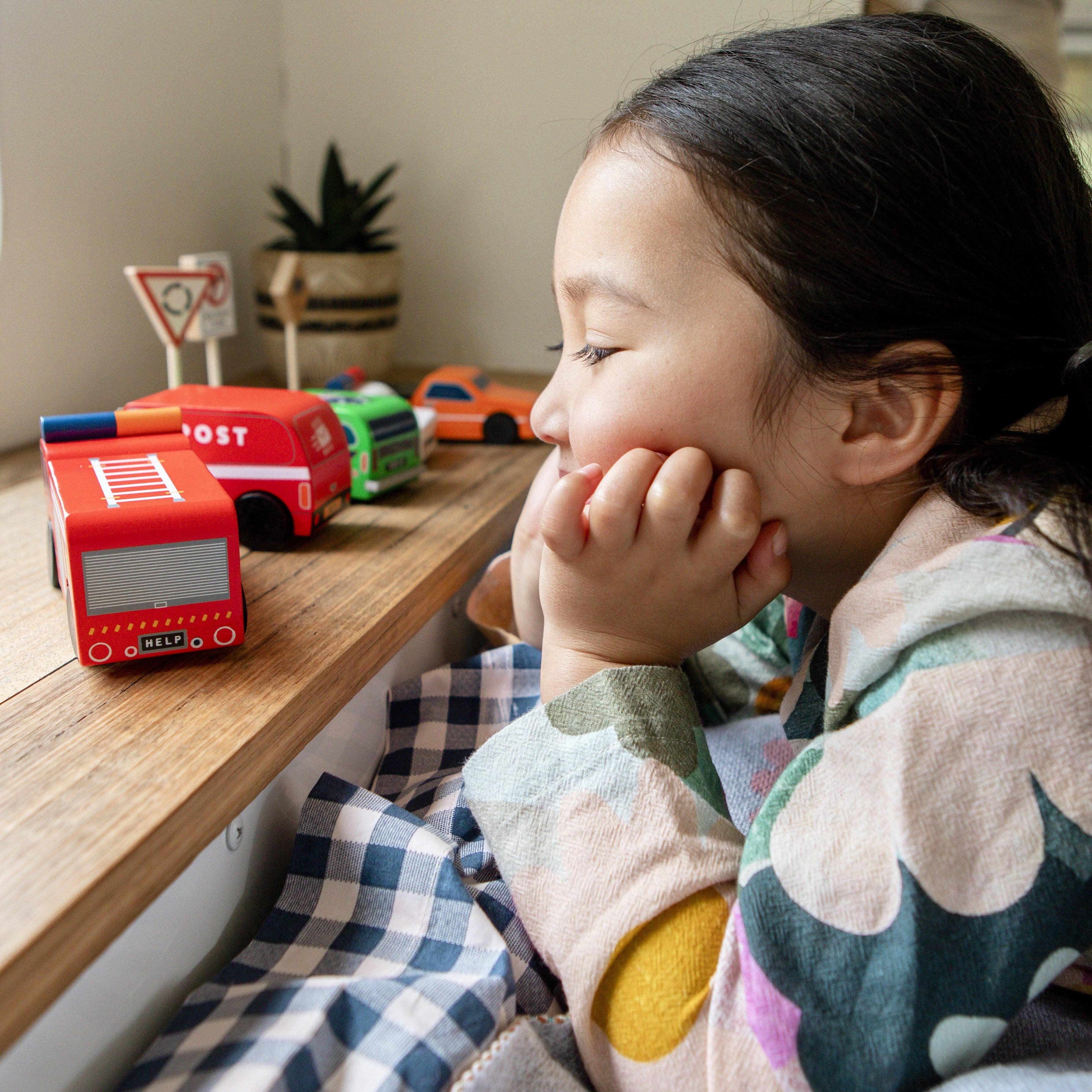 Make Me Iconic – Brinquedo de madeira - Crianças por atacado – BRINQUEDO DE MADEIRA - SINAIS DE ESTRADA AUSTRALIANOS EM MOEDA SOLTA10