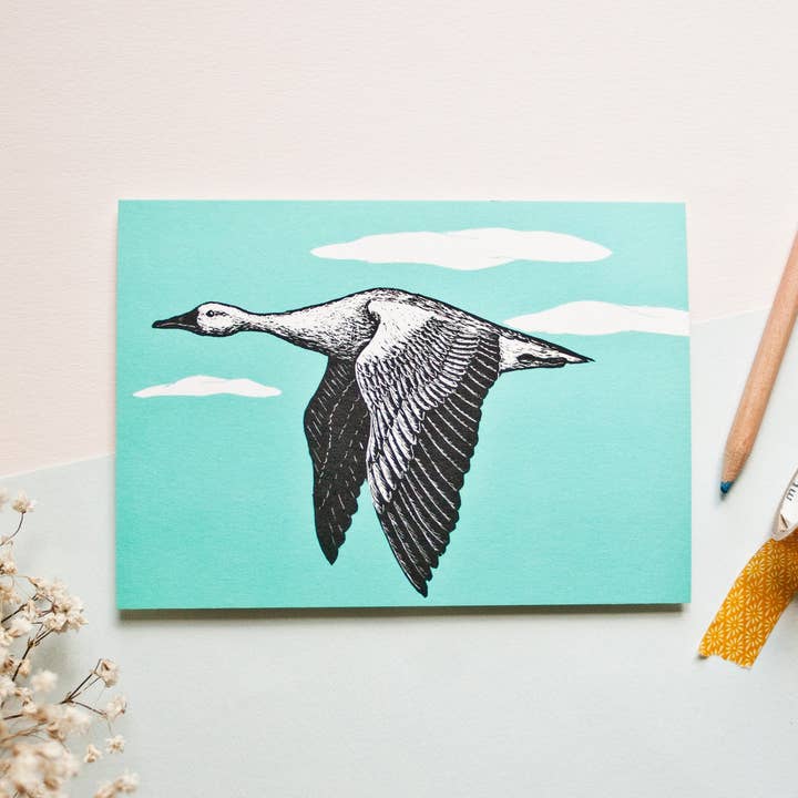 Postcard Greylag Goose, Animal Illustration for wholesale by Katja Rub