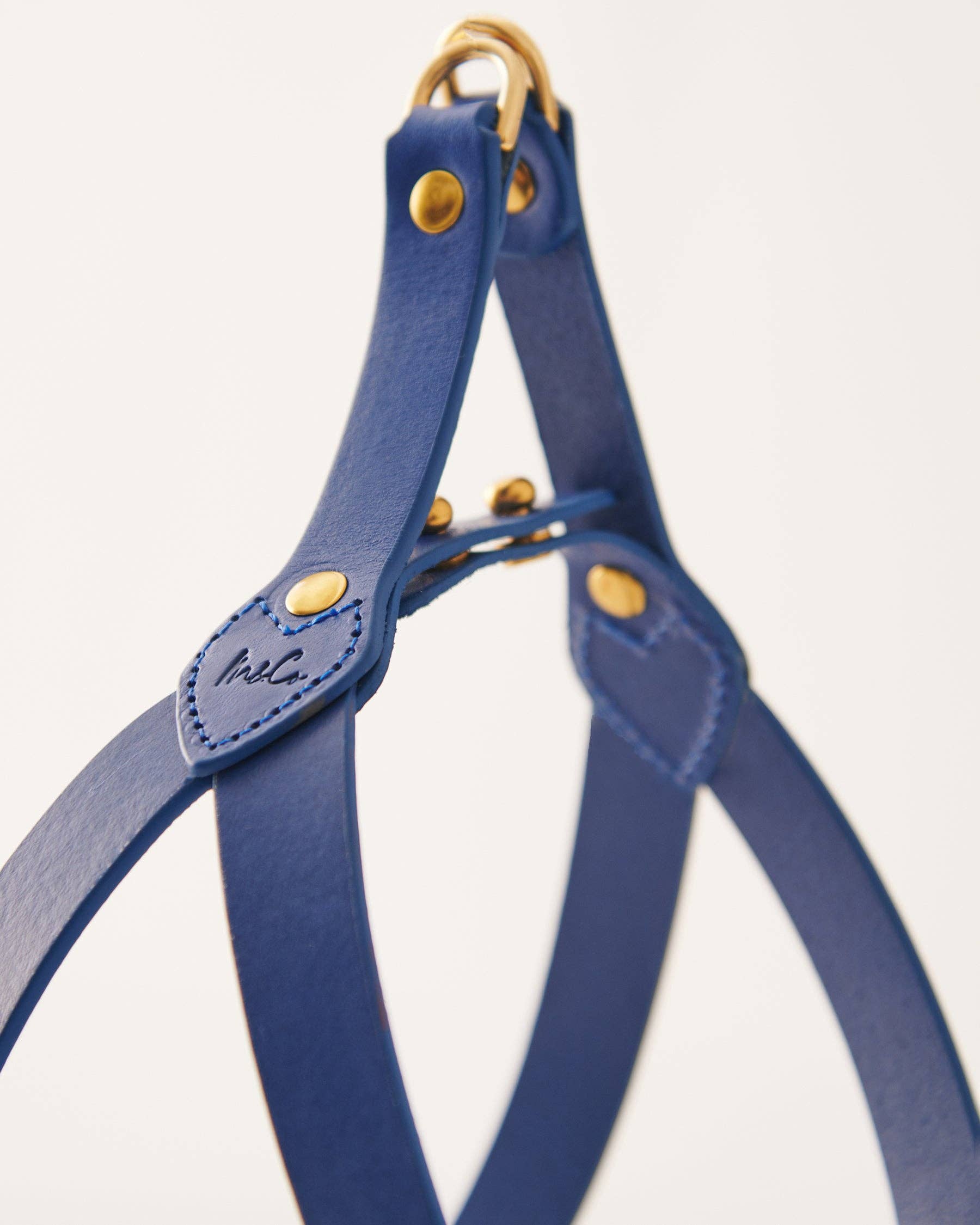 Muso & Co – Großhandel Haustiergeschirr – Hund – Klassisches Geschirr aus pflanzlich gegerbtem Leder19