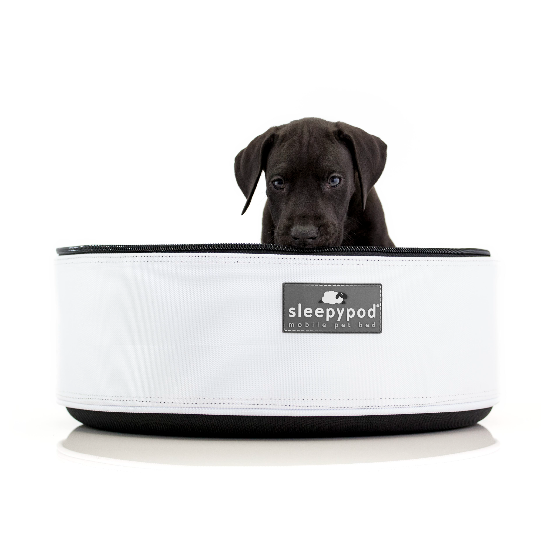 Sleepypod – wholesale Transportbur – Katt och hund – Sleepypod mobil husdjursbädd10