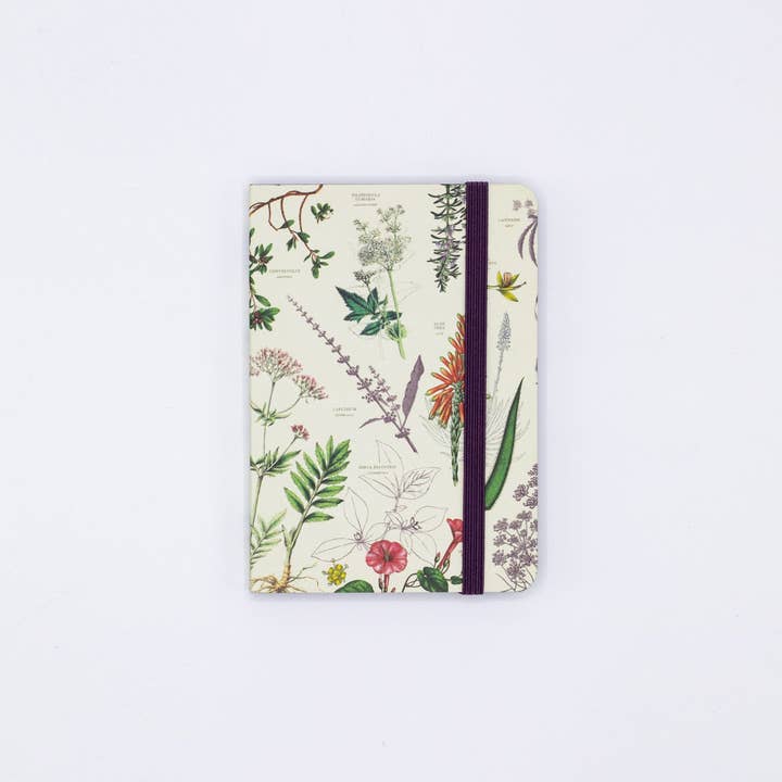 Cognitive Surplus - Wholesale Notebook - Medicinal Botany Observation Softcover (Case of 6)3