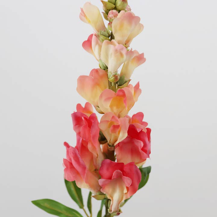 Prestige Botanicals - Vendita all'ingrosso Fiori finti - Bocca di Leone Corallo Real Touch 23”2