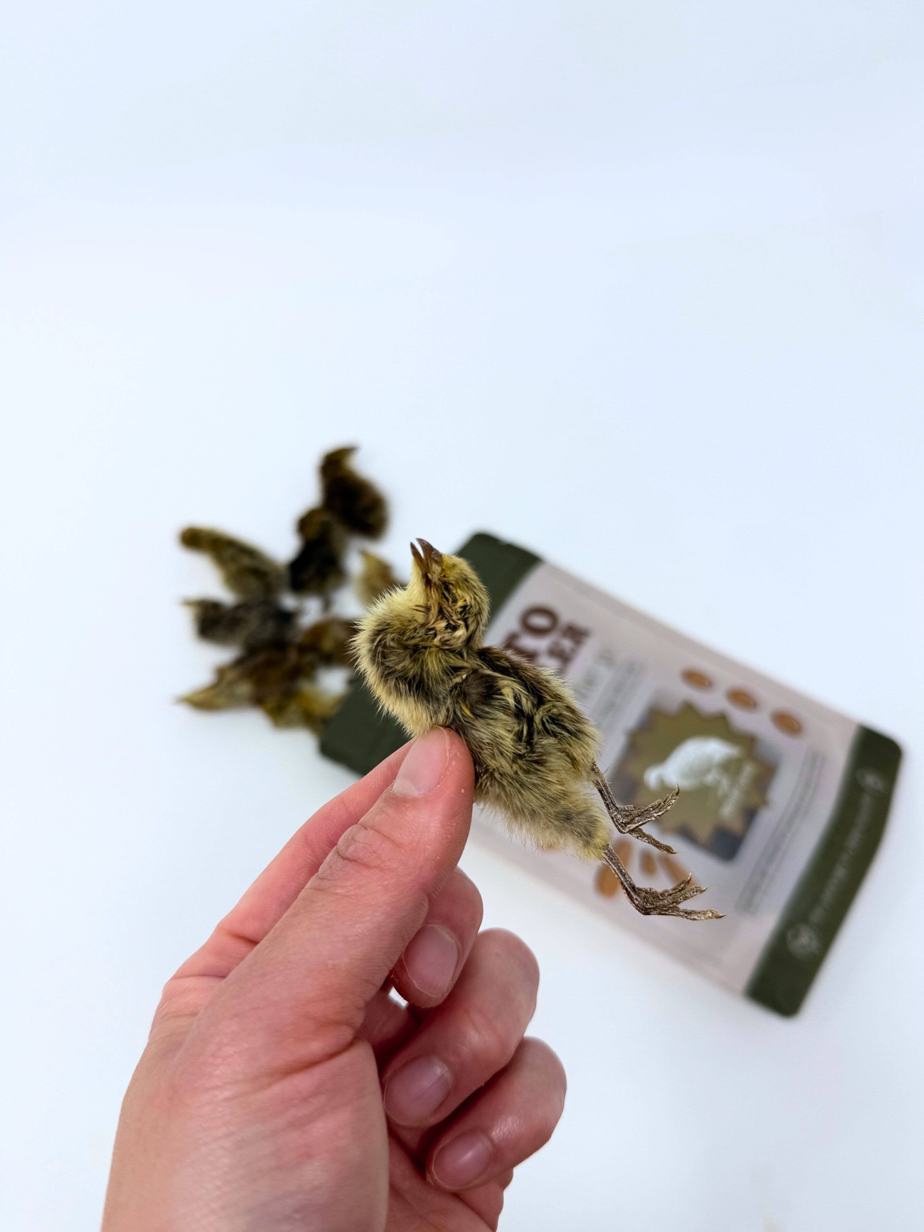 Litto Howler – wholesale Pet treats – Cat – Whole Prey Quail Chicks | 15 Count 2