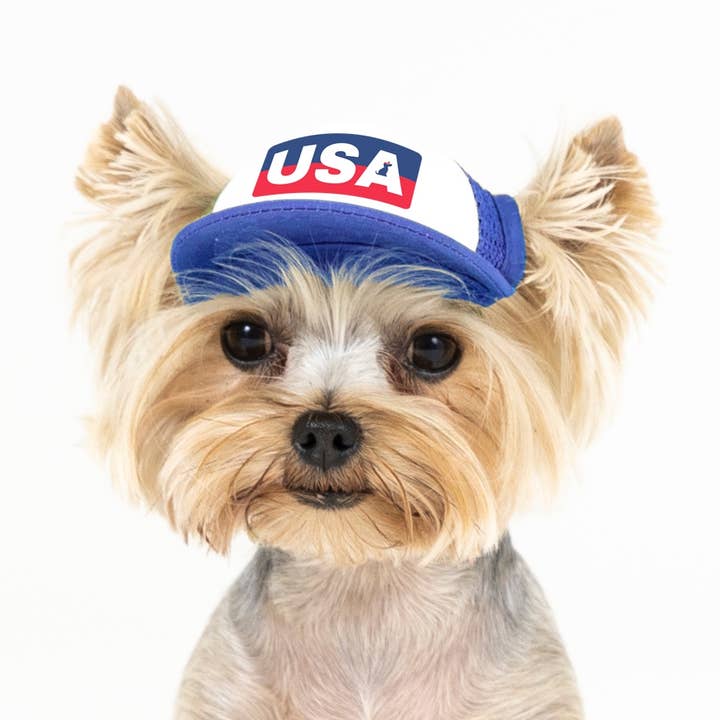 USA Stripes Design l Trucker Hat for Dogs for wholesale by PupLid