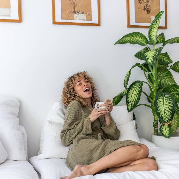 PAAVANI Ayurveda – Großhandel Gesundheits-/Entgiftungstee – Bliss Blend | Tridosha-Tee für Entspannung & Harmonie2