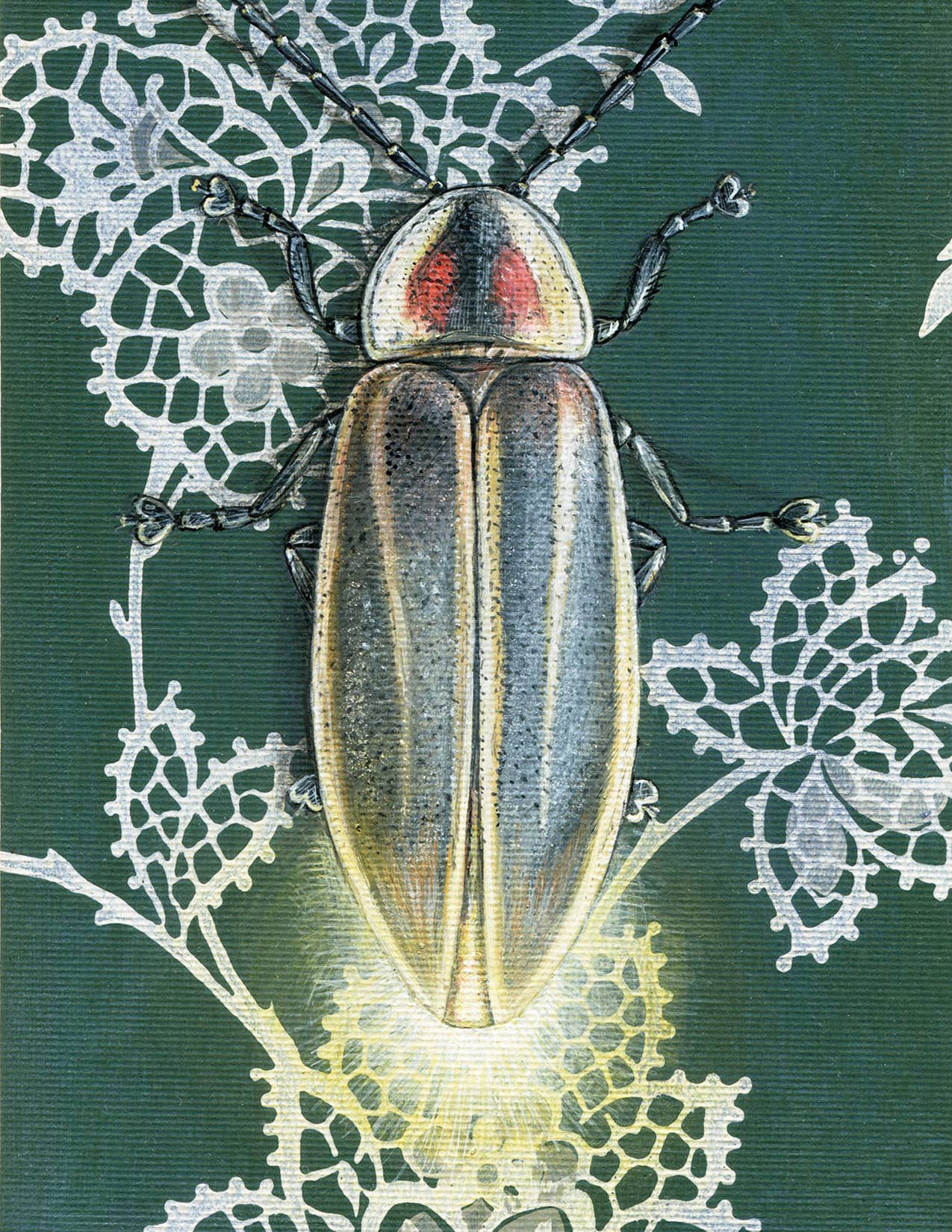 Emily Uchytil - Wholesale Stationery/Notecard Set - Firefly - Lightning Bug - Note Card1
