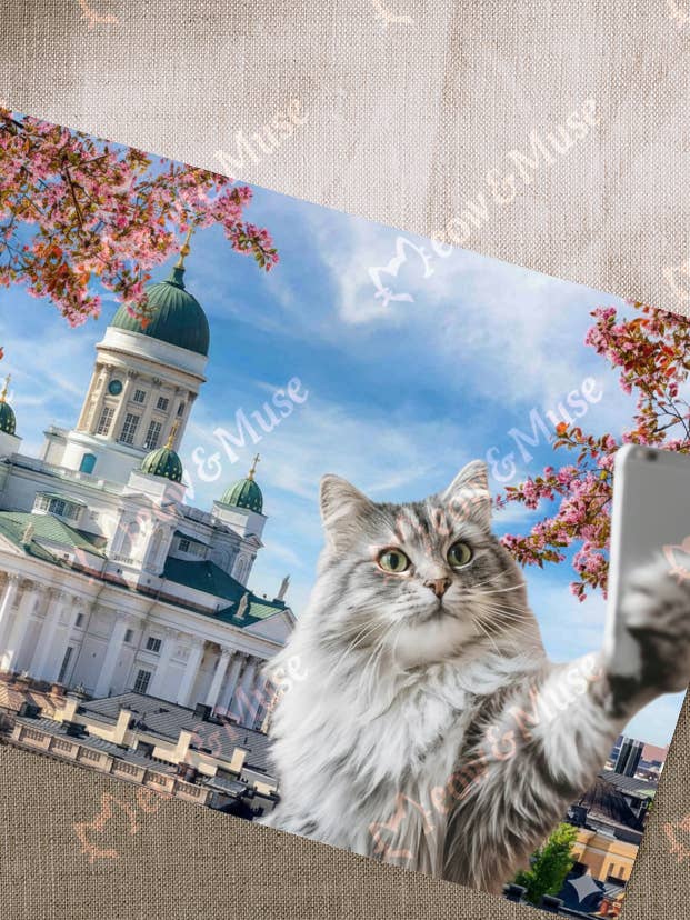 Ansichtkaart 'Groeten uit Finland Lente' for wholesale by Meow & Muse