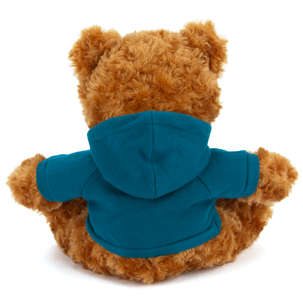 Plushland – wholesale Stuffed/plush toy – Kids & baby – 11" Personalized Teddy Bear in Hoodie | Custom Sitting Bear37