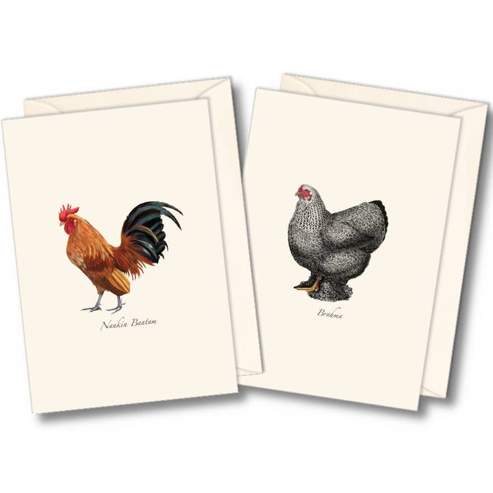 Earth Sky + Water - Wholesale Stationery/Notecard Set - Chicken Assortment