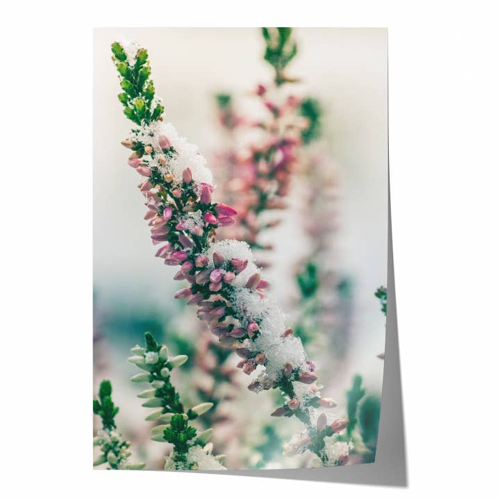 Winterblumen I | Fine Art Fotografie Druck für den Großhandel von Natasha Riha Photography