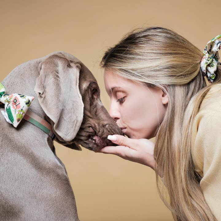 Liens Camarido pour la vente par Pajé Snoods