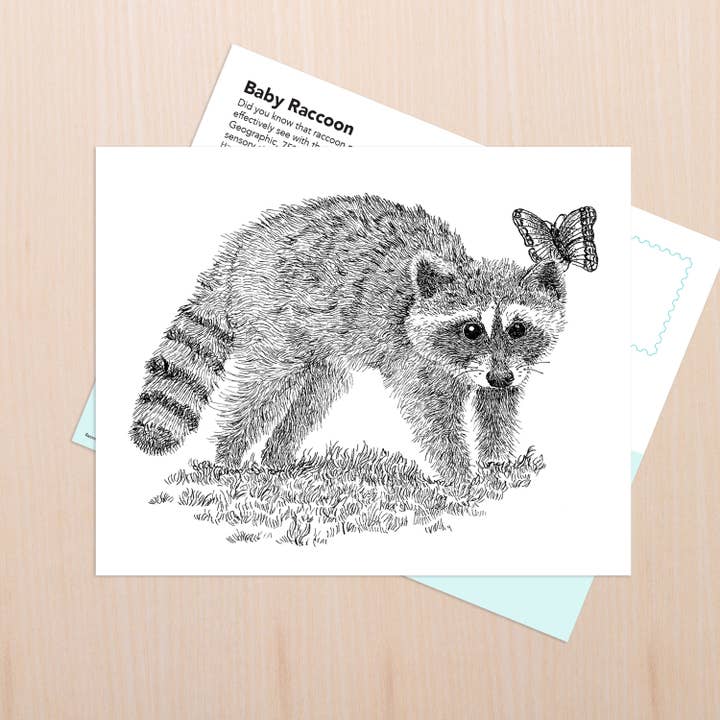 Baby Raccoon Art for wholesale by Coy Ink Studio