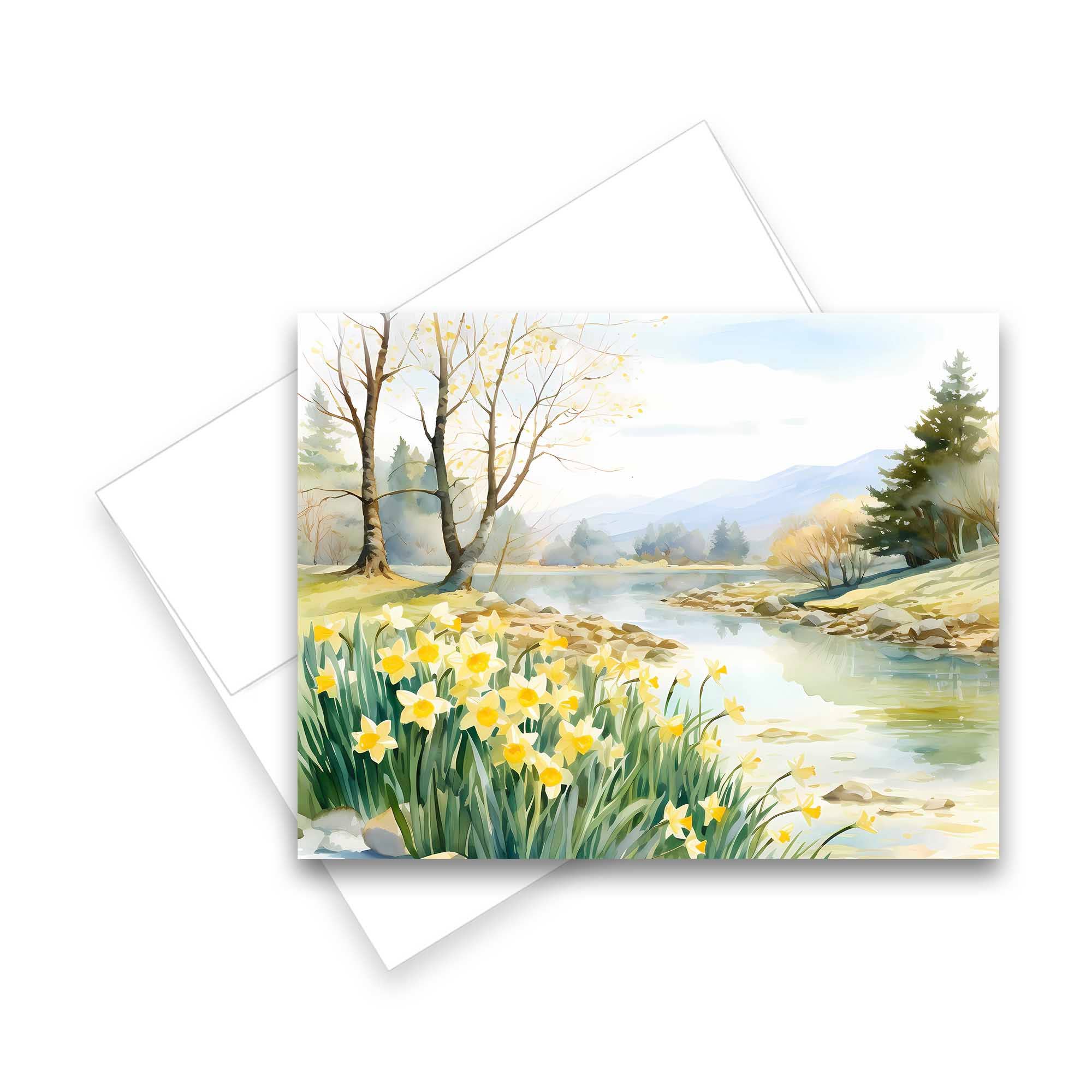 Aria Rae - Wholesale Stationery/Notecard Set - Assorted Watercolor Daffodil Fields Notecards - Set of 63