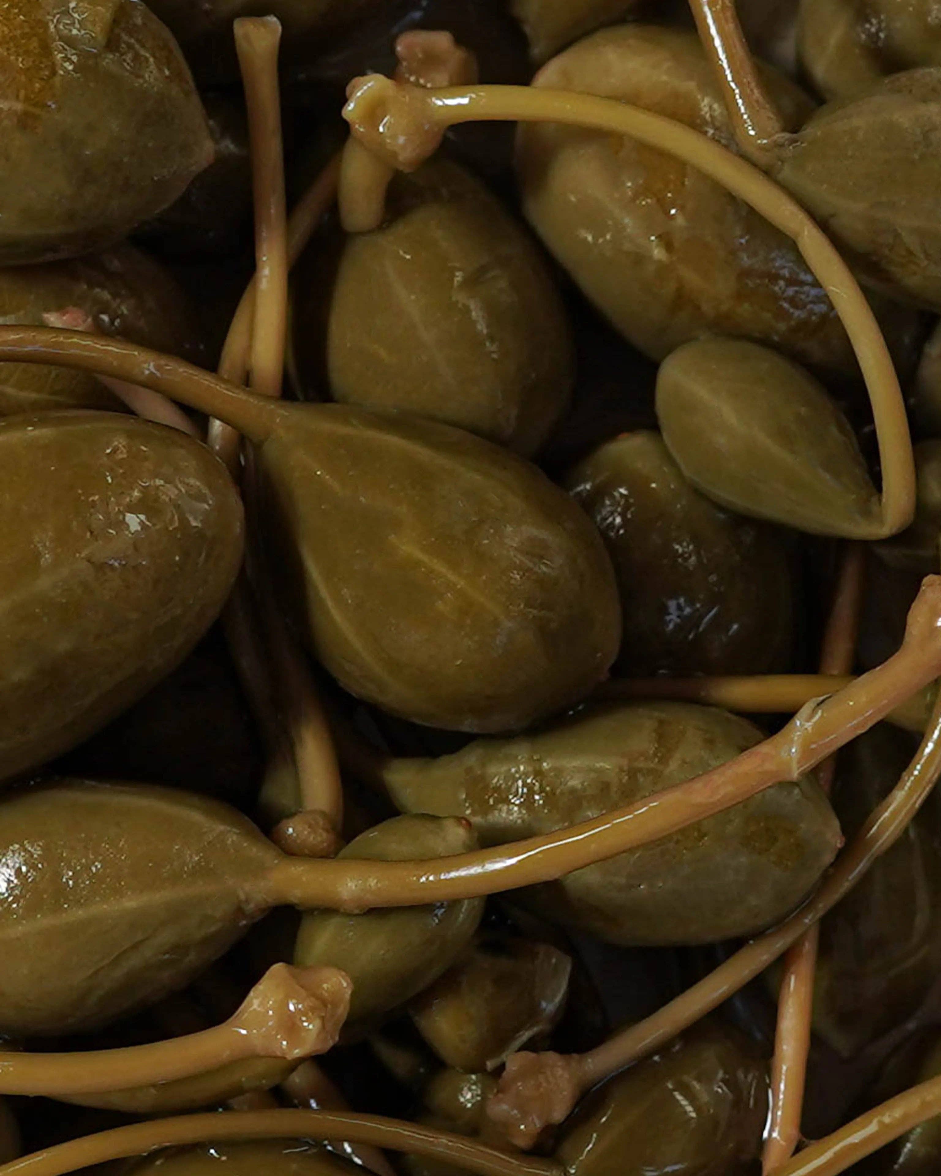 OLIO DI SERRA - Vendita all'ingrosso Olive - Capperi in salamoia con gambo - Capperi in salamoia (2800g)2