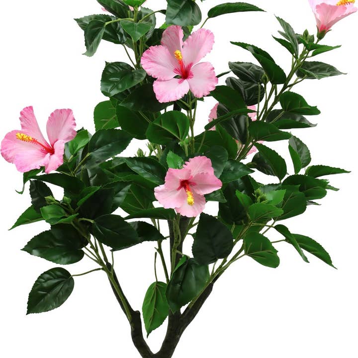 ARBRE ORNEMENTAL HIBISCUS DREAM (HOFF7235) pour la vente par HOFF-INTERIEUR
