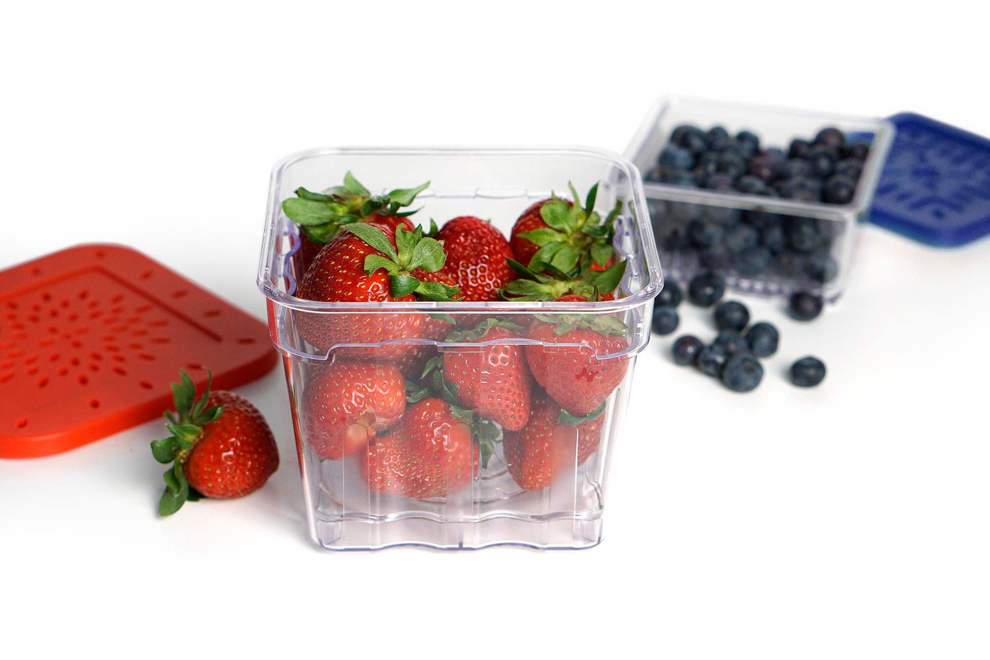 RSVP International - Wholesale Food Storage Container - Berry Keepers  Set Of 25