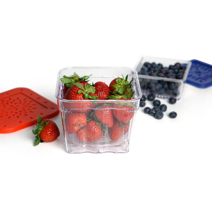 RSVP International - Wholesale Food Storage Container - Berry Keepers Set Of 25