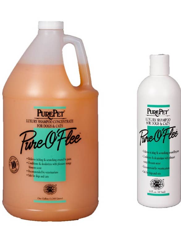 Pure O'Flee Luxury Shampoo koncentrat til hunde og katte for engroshandel hos PurePet