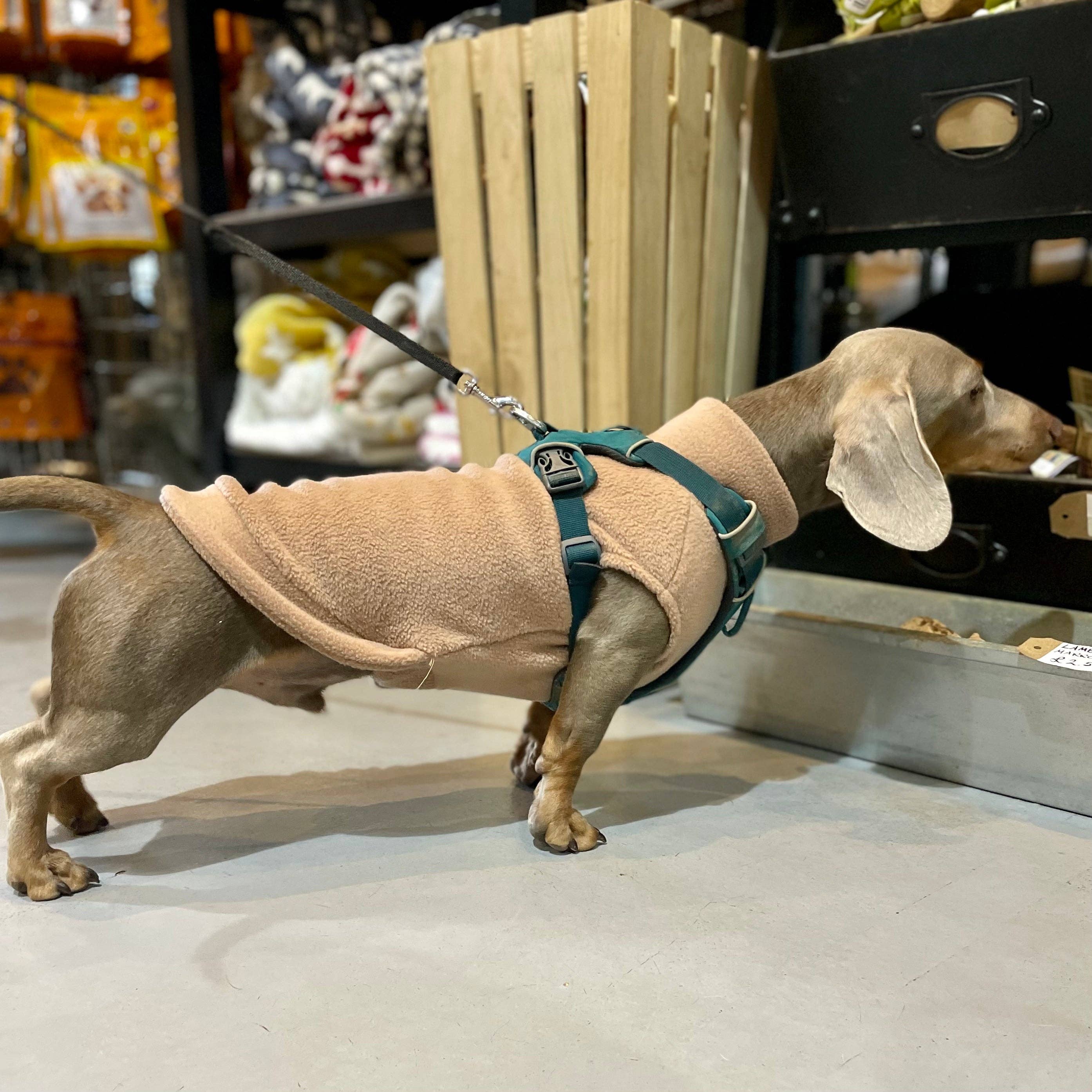 Doghouse – wholesale Pet jumper – Dog – Dachshund Fleece Jumper16