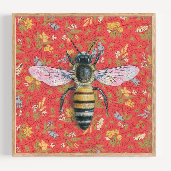 Honeybee Red - Konsttryck - Insektsillustration för wholesale av Emily Uchytil