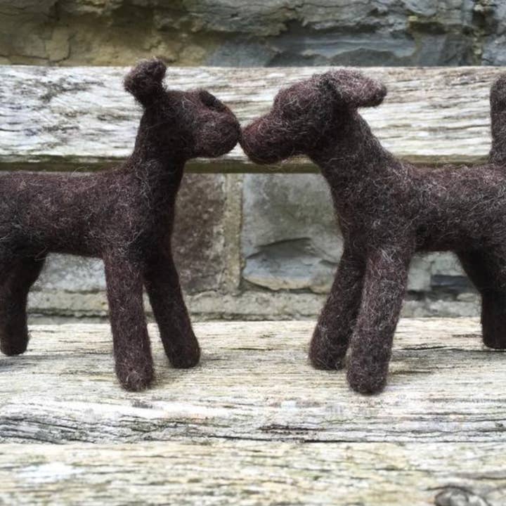 Zwarte set naaldvilt voor honden - Challenging voor wholesale door Black Dog & Ginger Cat