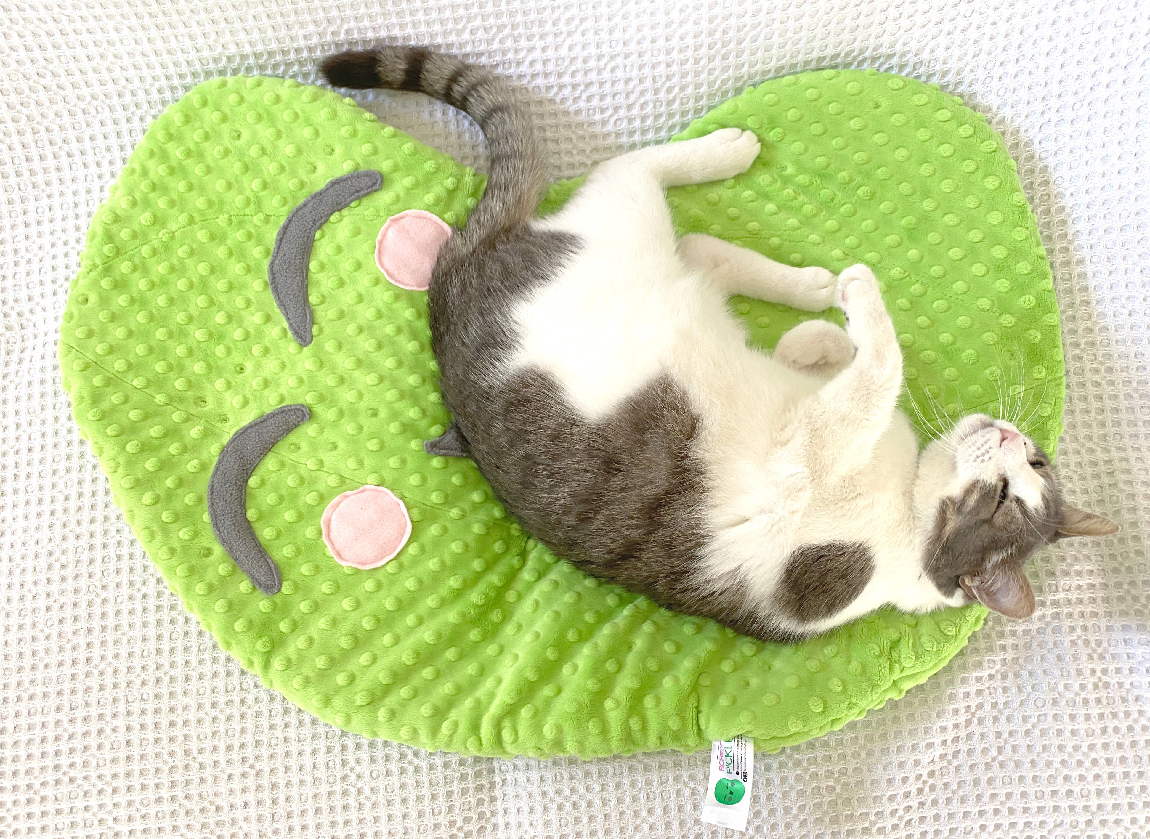 Screaming Pickles – cama - Gato e cão por atacado – Cama de Pelúcia em Forma de Picles Feita à Mão para Gatos e Cães Pequenos12