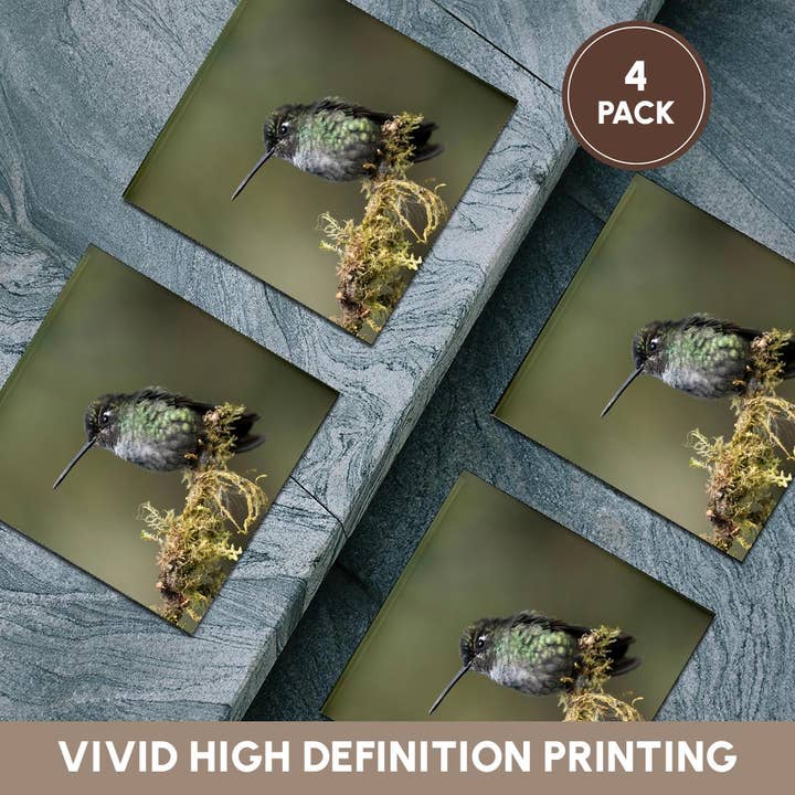 3dRose - Wholesale Coasters - 3dRose, Talamanca Hummingbird, Costa Rica, Central America, Coaster5