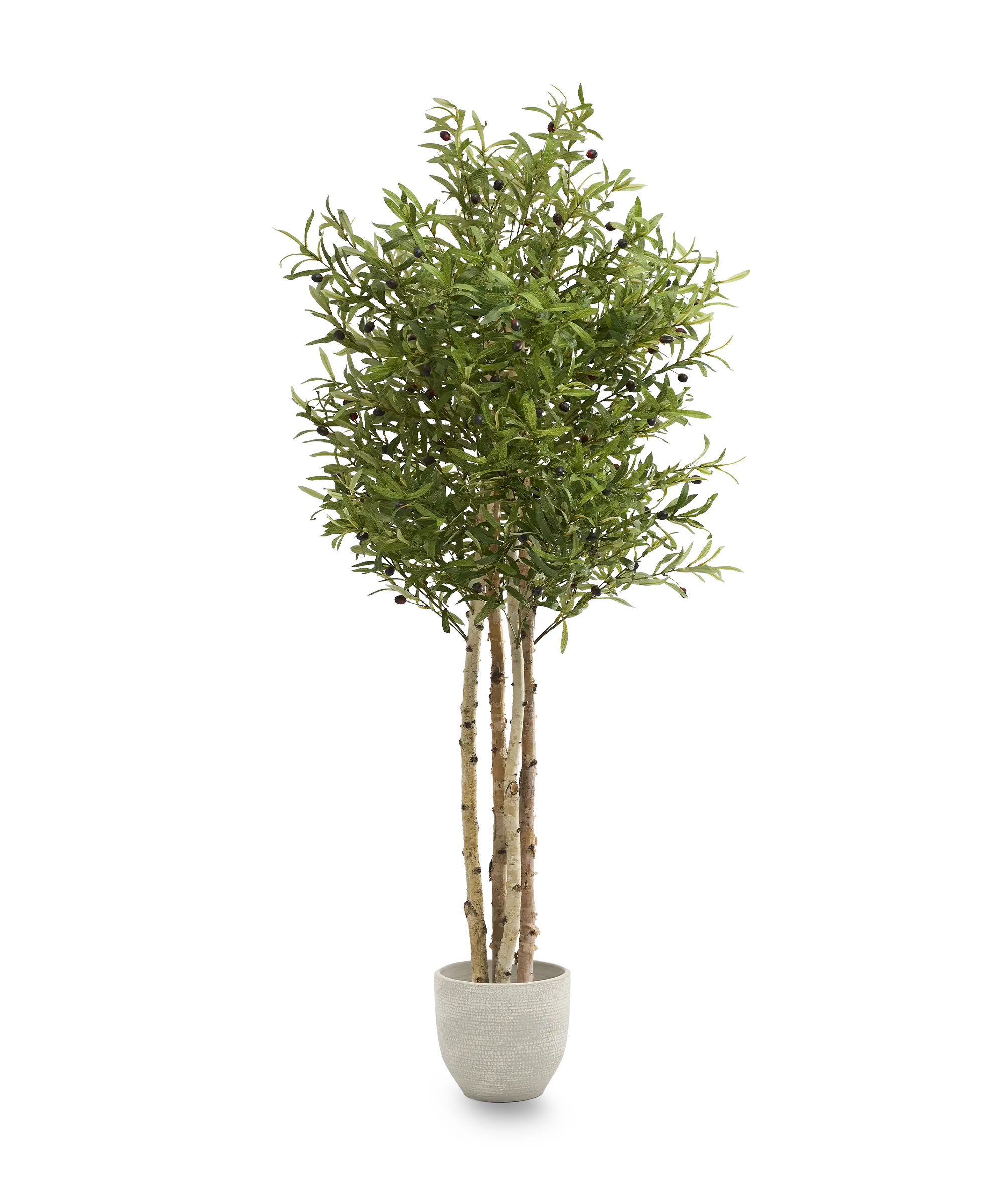 Maia Shop - Vente Plantes artificielles - Olivier Artificiel 185 cm1